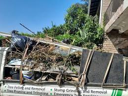 Best Construction Debris Removal  in Port Lavaca, TX